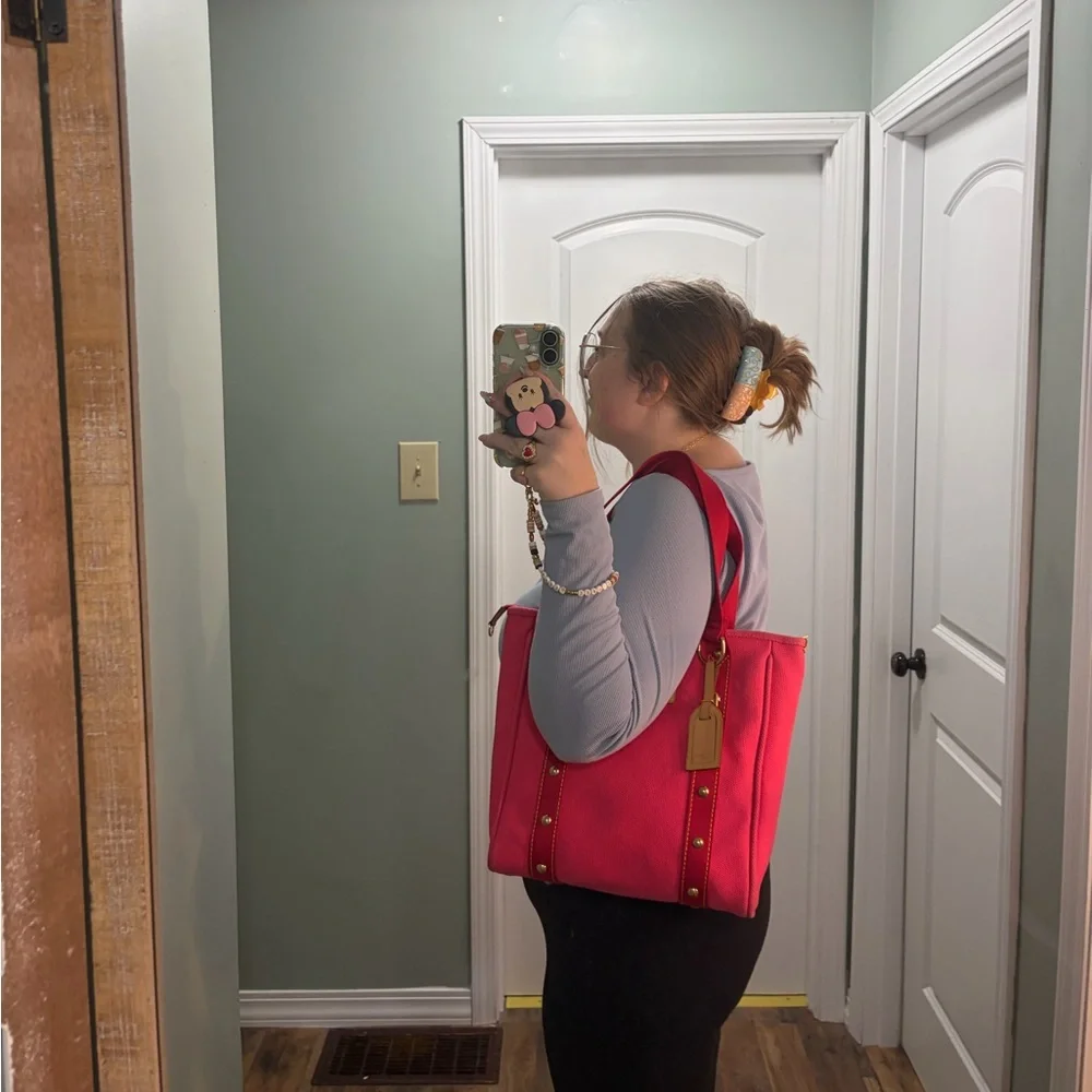 Louis Vuitton Pink Antigua Cabas MM Shoulder Bag Tote